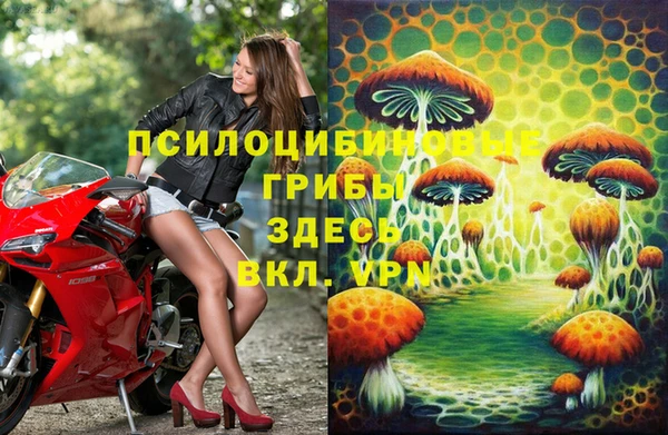 spice Алексин