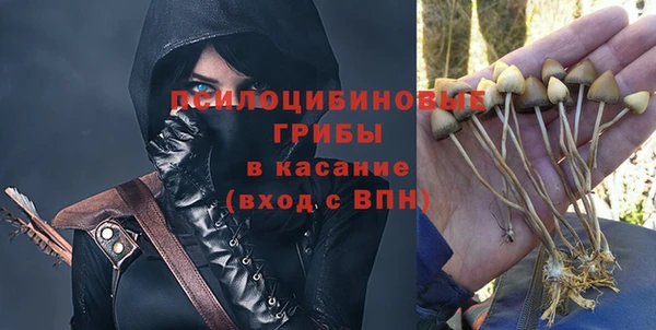 spice Алексин