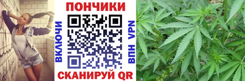 Канабис семена закладка Славск